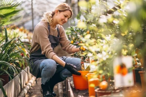 Top 10 restauracji nad Bałtykiem: gdzie zjeść świeże ryby i owoce morza z widokiem na plażę. Smaki regionu, najlepsze sezonowe dania i adresy.