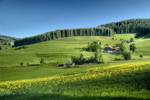 Prace na wysokościach ze zwyżką